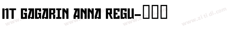 NT Gagarin Anna Regu字体转换